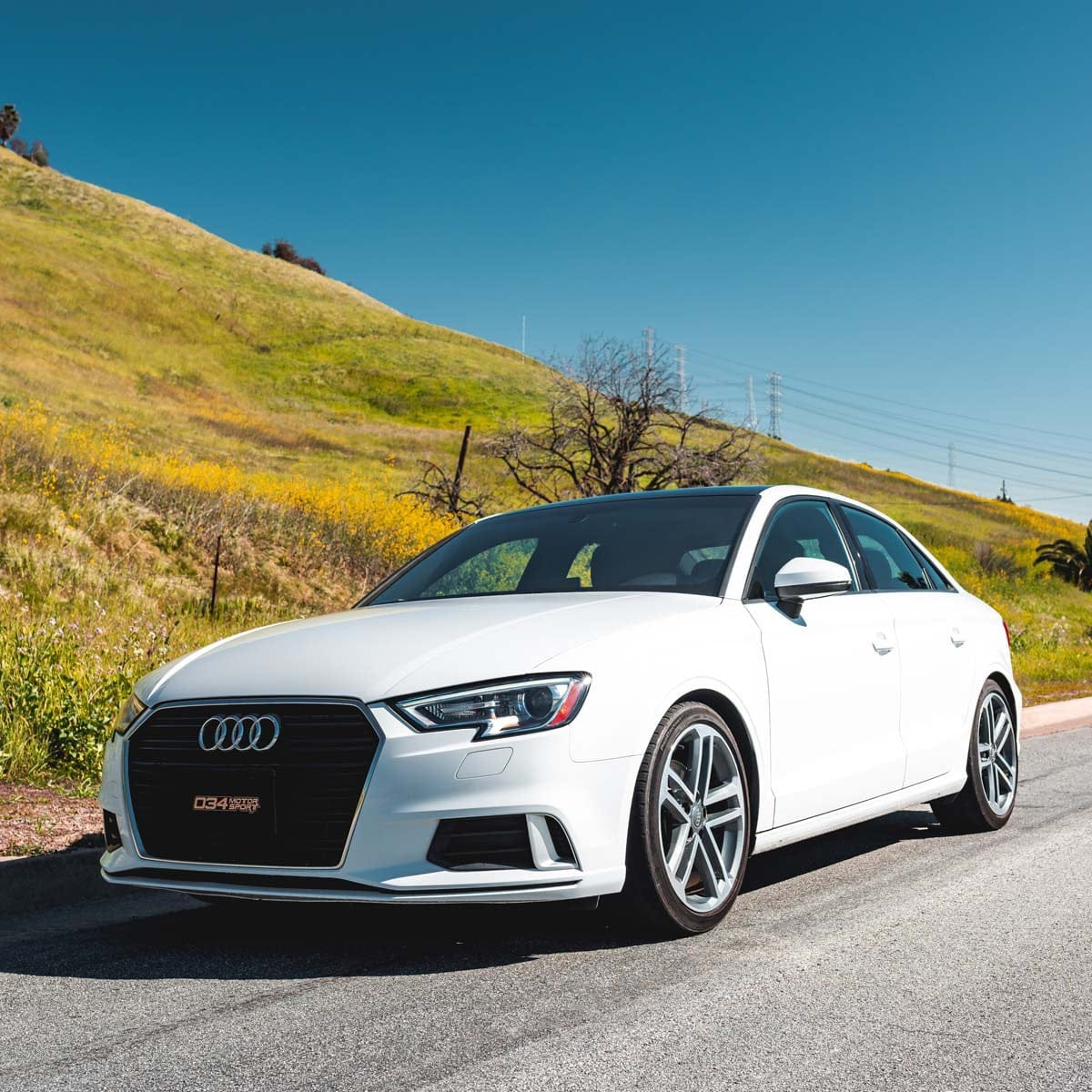 034-404-1012 - 034Motorsport Audi A3/S3 8V Lowering Springs - Non Magride